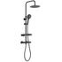 Colonne de douche thermostatique noir Ars Tab - EDOUARD ROUSSEAU