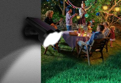 Spot à piquer solaire LED Wally noir IP65 80 lumens  blanc neutre - COREP