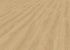 Sol vinyle décor bois clair Scandinav Honey 4,2x212x1239mm 23/31 GERFLOR