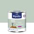 Peinture murs, boiseries et radiateurs vert palatino velours 0,5L RIPOLIN