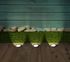 Lot de 3 spots extérieurs encastrables 25 lumens blanc chaud - PATIO ARLUX
