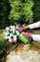 Gants de jardin renforcés taille 7 GERIN