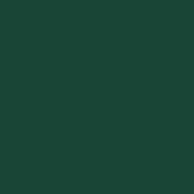 Peinture fer extérieur direct sur rouille Finition vert basque RAL 6005 Brillant 0,75 L - HAMMERITE