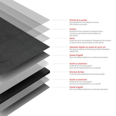 Panneaux muraux de douche 100x100x255 cm ardoise DécoDesign Décor - SCHULTE