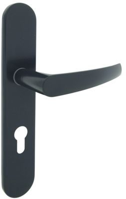 Demi-ensemble de poignée sur plaque à cylindre Avoriaz 195 mm aluminium gris anthracite col long ALPERTEC