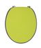 Abattant de WC Vert/Gris