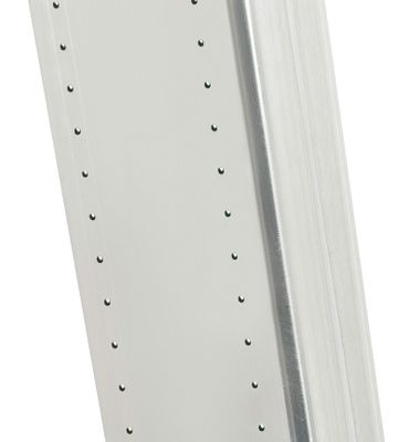 Echelle simple 12 échelons 3,28 m ProfiStep Uno avec base rapportée aluminium - HAILO