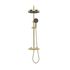 Colonne de douche thermostatique laiton brossé Concave - EDOUARD ROUSSEAU