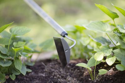 Binette manche courbé Ergonomic