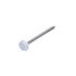 Boite 100 pointes inox tête PVC blanc 1092 pour planche de rive - DECEUNINCK
