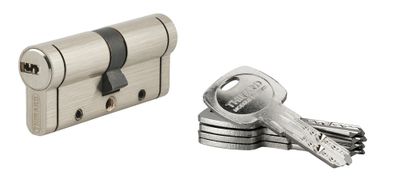 Cylindre de serrure double entrée 35 x 35 mm Trafic 12 très haute sécurité nickelé 5 clés THIRARD