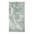 Panneau mural de douche pierre Artic Green 120 x 210 cm AURLANE