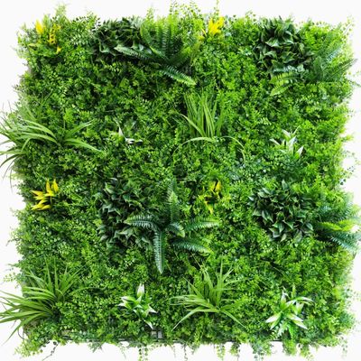 Mur végétal artificiel fougère 1m x 1m AG'CO