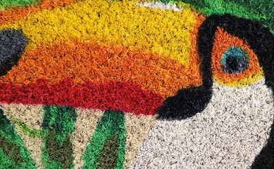 Tapis coco blanchi toucan 40 x 60 cm - ID HOME