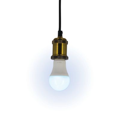 Ampoule connectée SMD E27 806 Lumens  variation de couleur et de température - XANLITE