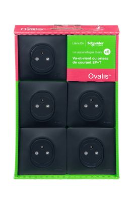 5 prises affleurantes 2P+T complète anthracite - Ovalis SCHNEIDER ELECTRIC