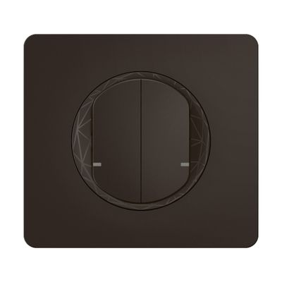 Commande double connectée sans fil + plaque Noir - Céliane with Netatmo LEGRAND