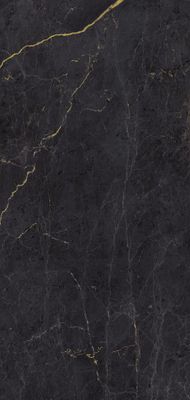 Panneau mural de douche 100x210 cm marbre anthracite or DécoDesign Softtouch - SCHULTE