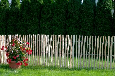 Clôture jardin bois noisetier espacement 7/9 cm - 1500 x 5000 mm