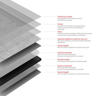 Panneaux muraux de douche 100x100x255 cm pierre gris clair DécoDesign Décor - SCHULTE