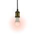 Ampoule connectée SMD E27 806 Lumens  variation de couleur et de température - XANLITE