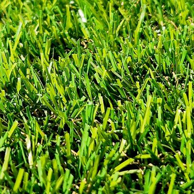 Gazon synthétique GRUISSAN ép 34 mm 4 x 4 m - AG'CO