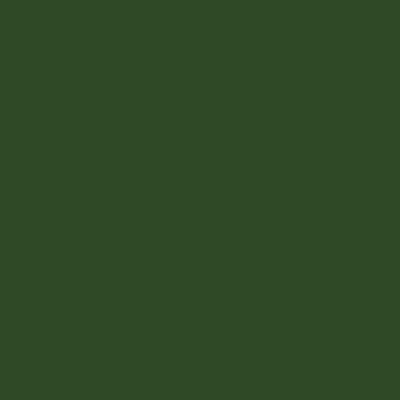 Bombe de peinture multi-supports solution vélo vert rando mat velouté 400 mL - RIPOLIN