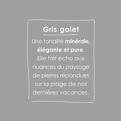Peinture O'PUR Gris Galet 75 mL - RIPOLIN