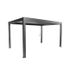 Pergola acier gris foncé/argent métallique 6 x 3,5 - BIOHORT