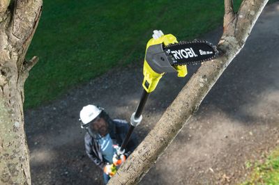 Elagueur sur perche à batterie 18 V guide 20 cm RPP182020 RYOBI