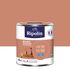 Peinture murs, boiseries et radiateurs ocre nubie mat 0,5L RIPOLIN