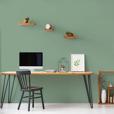 Peinture murs, boiseries et radiateurs vert simsun velours 2,5L RIPOLIN