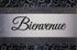 Tapis Dallas bienvenue gris - 40X60 - ID HOME