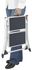 Marchepied 2 marches Mini acier - HAILO