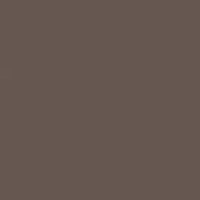 Peinture naturelle murale Café velours 2,5 L - DEFI NATURE