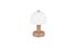 Lampe à poser E14 Glenn café 10W - TRIO