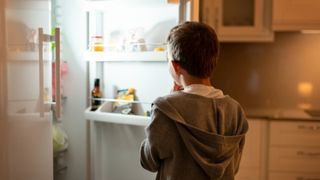 Nomenclature Ampoule four et frigo