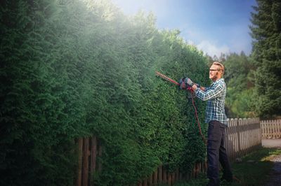 Taille-haie électrique 700 W lame 67 cm GE-EH7067 EINHELL