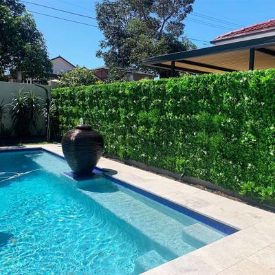 Mur végétal artificiel liseron 1m x 1m AG'CO