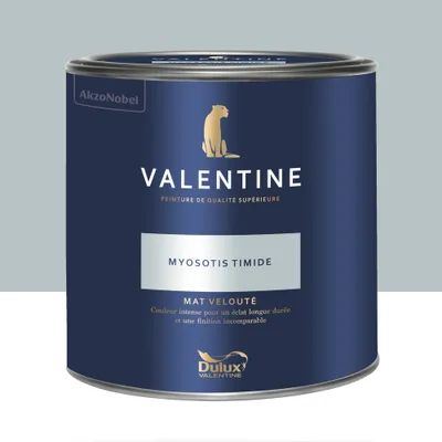 Peinture Valentine  Mat Velouté Myosotis Timide 2 L - DULUX VALENTINE