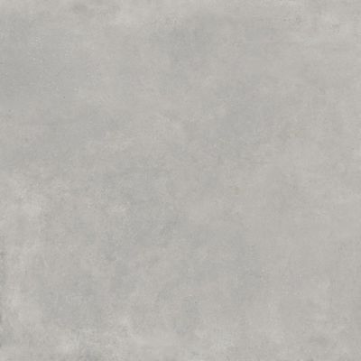 Carrelage sol intérieur gris ARKETY ép 9 mm 60 x 60 cm rectifié paquet de 1,08 m² BALDOCER