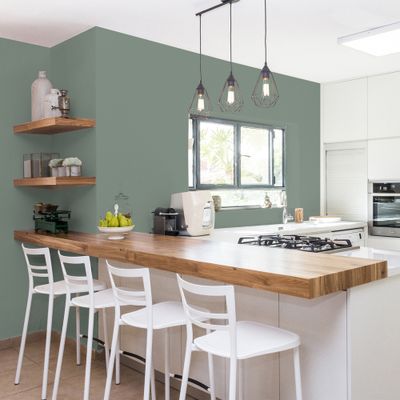 Peinture Cuisine & Bain Vert Nobile satin 0,75L RIPOLIN