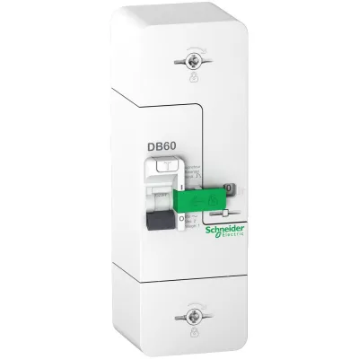 Disjoncteur de branchement 500mA 60A instantané - Resi9 SCHNEIDER ELECTRIC
