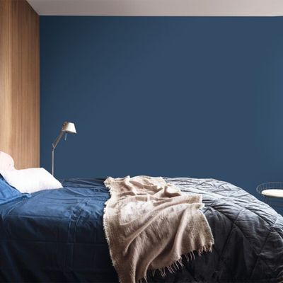 Peinture Color Resist murs et boiseries Zinc Bleu mat 0,5 L - DULUX VALENTINE