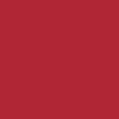 Peinture Ecran+ Multi-supports Satin Rouge Coquelicot 0,5 L - DULUX VALENTINE