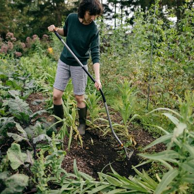 Ratissoire manche courbé Ergonomic