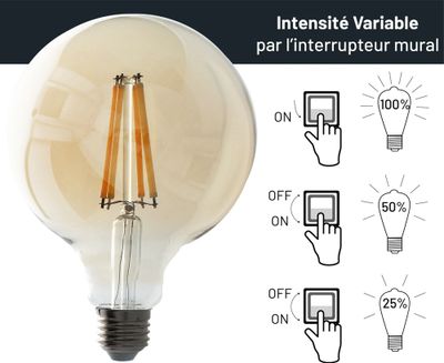 Ampoule LED Globe diamètre 125 mm ambrée 6W 720lm dimmable blanc chaud - ARLUX