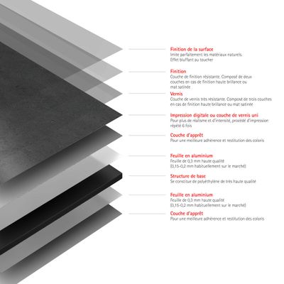 Panneaux muraux de douche 100x100x210 cm décor ardoise DécoDesign Brio - SCHULTE