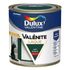 Peinture Boiseries Laque Acrylique Valénite Brillant Vert Basque 0,5 L  - DULUX VALENTINE