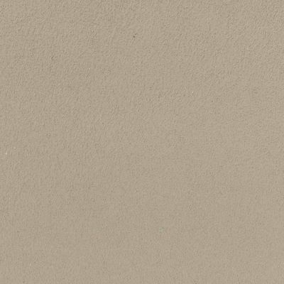 Enduit Antalys Cachemire Kaki clair 15kg - COLOR FRANCE